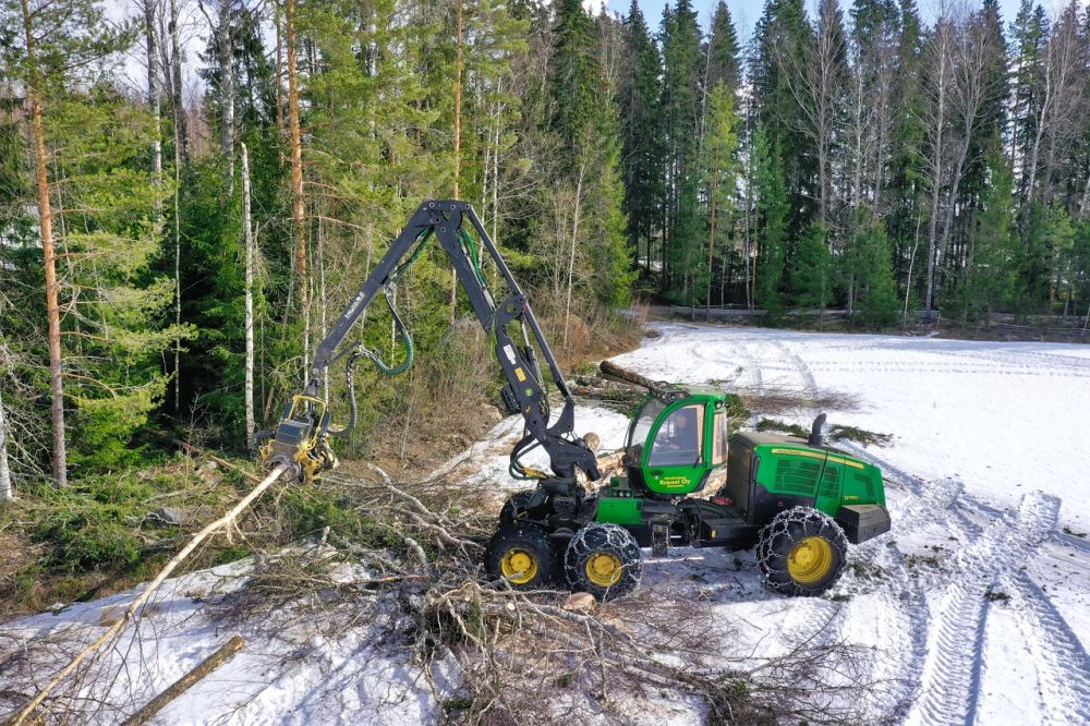 En dypere forståelse av skogsveier